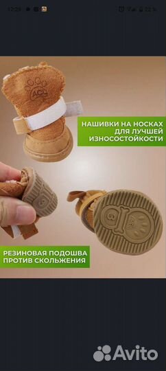 Обувь для маленьких собак