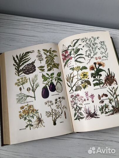 Юсуф Нуралиев Лекарственные растения книги