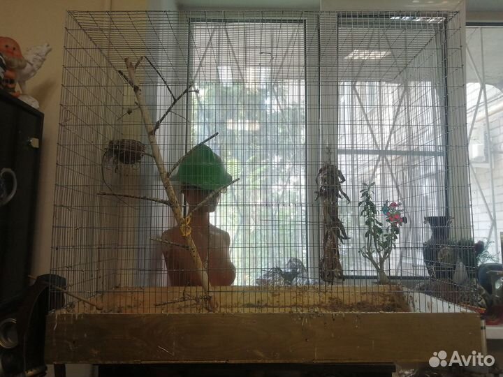 Большая клетка-вольер для птиц, животных