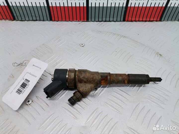 Форсунка для Peugeot-Citroen Picasso