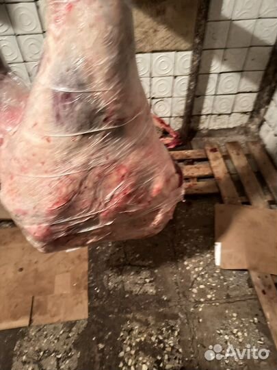 Мясо говядина