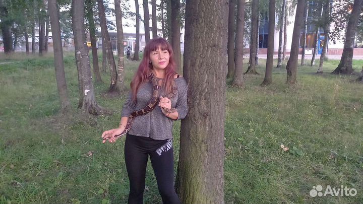 Фотосессия со змеёй, аренда змей