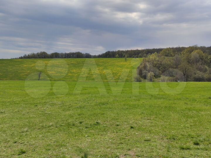 Участок 6 сот. (СНТ, ДНП)
