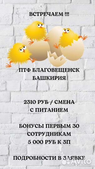 Обработчик полуфабрикатов. Башкирия
