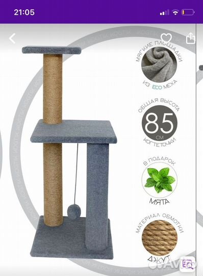 Передержка кошек, собак, грызунов и птиц