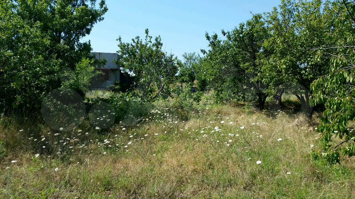 Участок 12 сот. (СНТ, ДНП)