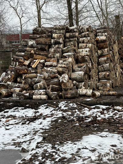 Дрова береза