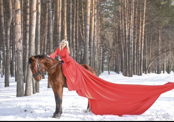 Прогулки на лошадях