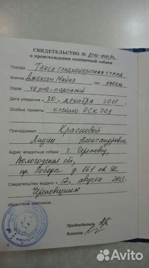 Такса Вязка