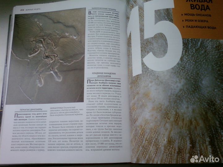 1000 чудес природы