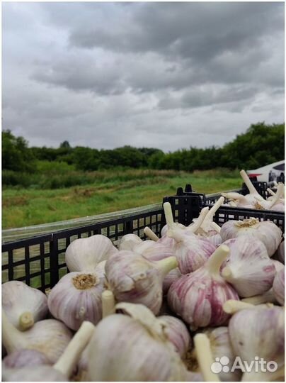 Поиск партнеров в готовый бизнес