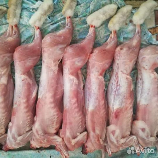 Мясо кролика