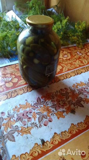 Огурцы соленые и маринованные