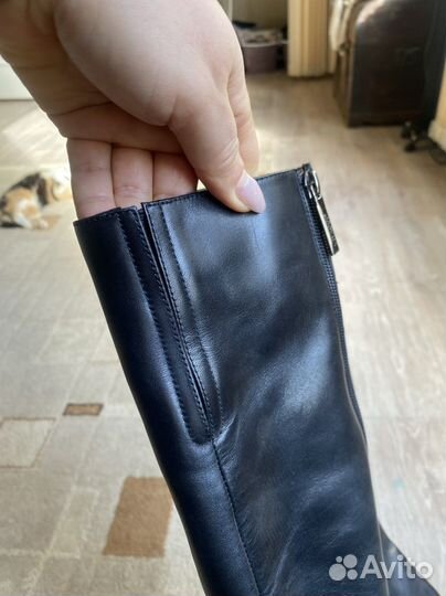 Сапоги Vitacci