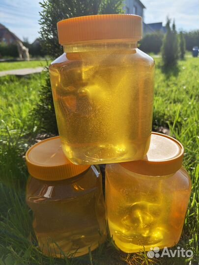 Мед эспарцетовый