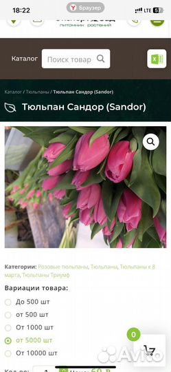 Тюльпаны к 8 марта оптом Губкинские