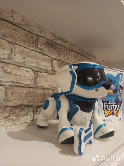 Робо - пёс Teksta