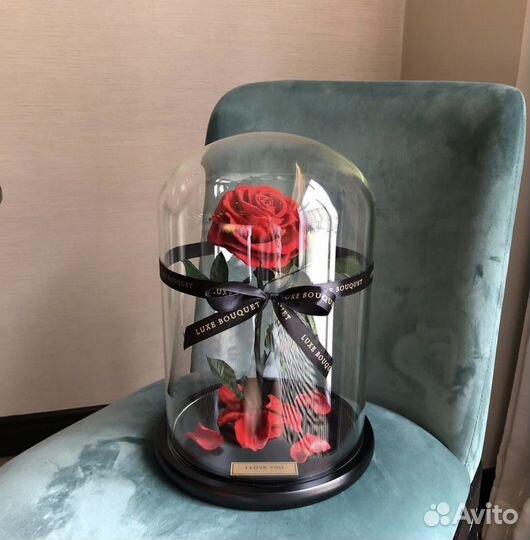 Роза в колбе
