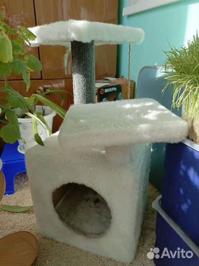 Домик для кошки с когтеточкой бу