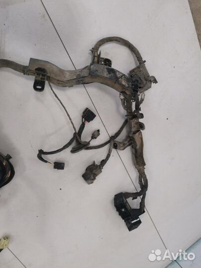 Проводка двс Kia Ceed 1 универсал G4GC 2.0 2008