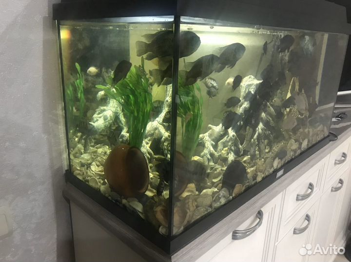 Продам аквариум 129 литров Jewel с рыбками