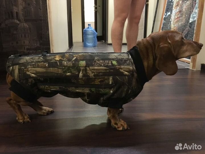 Корсеты для собак и кошек. Шейные корсеты