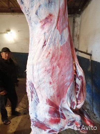 Телятина мраморная