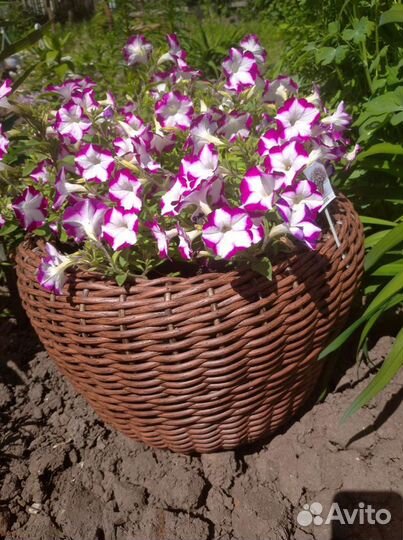 Кашпо для цветов