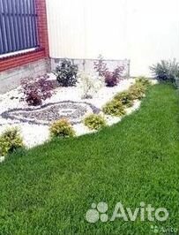Газон от производителя