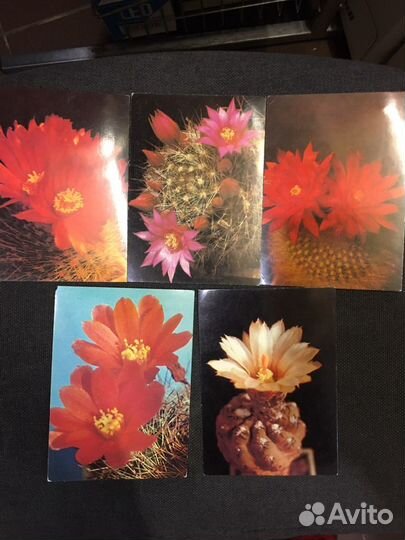 Открытки СССР