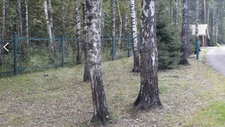 Участок 43 сот. (ИЖС)