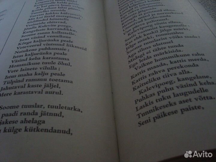 Kalevipoeg (Сын Калевалы)