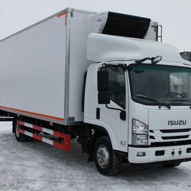 Isuzu NQR, 2024