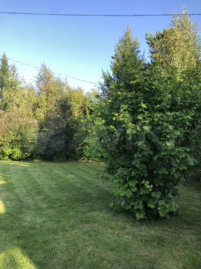 Дача 50 м² на участке 12 сот.