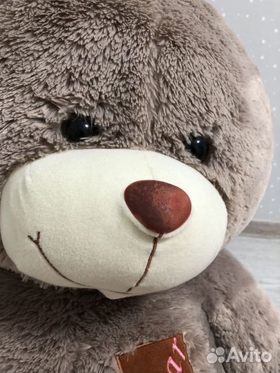 Плюшевый медведь