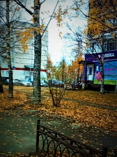 Торговая площадь, 37 м²