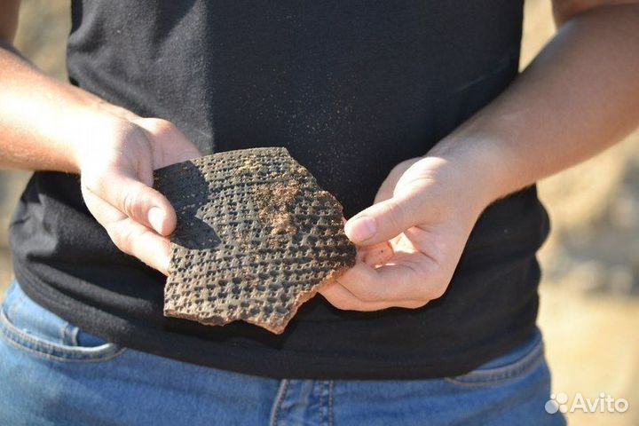 Работа в археологической экспедиции