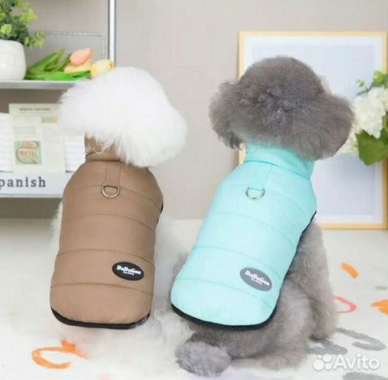 Одежда для маленьких пород собак