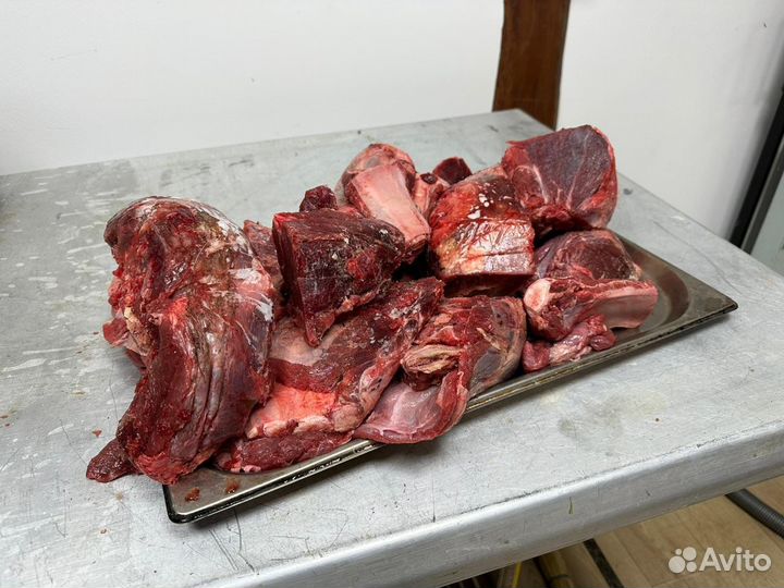 Корм для собак