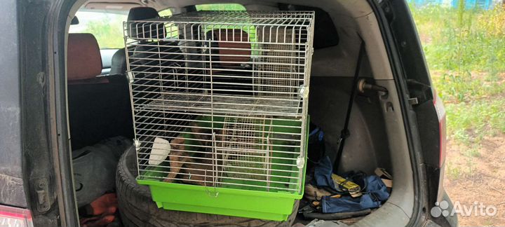 Клетка для хомяка