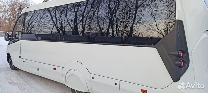 Туристический автобус Foxbus Daily, 2021