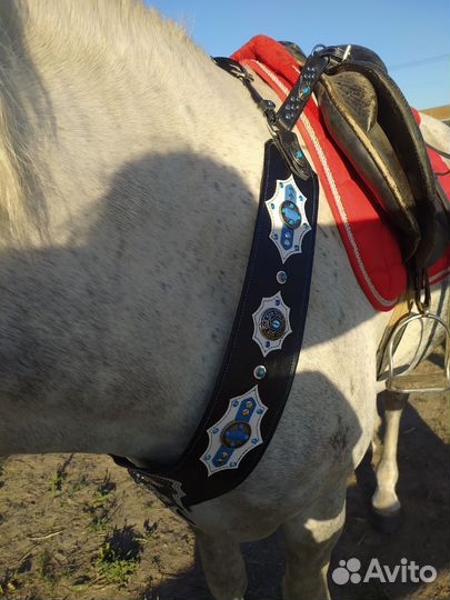 Подперсье для лошади