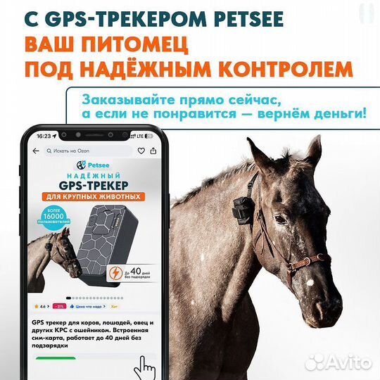 Gps tracker для баранов