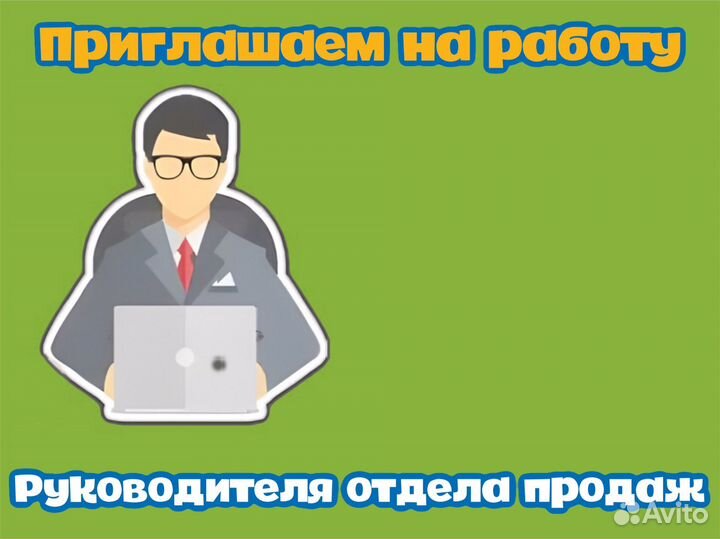 Руководитель отдела продаж
