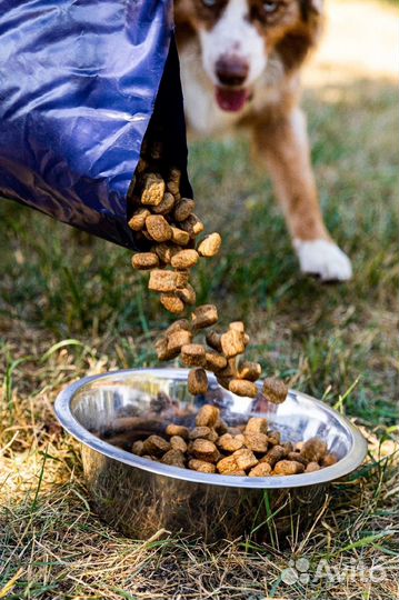 Сухой корм для собак крупных и мелких пород