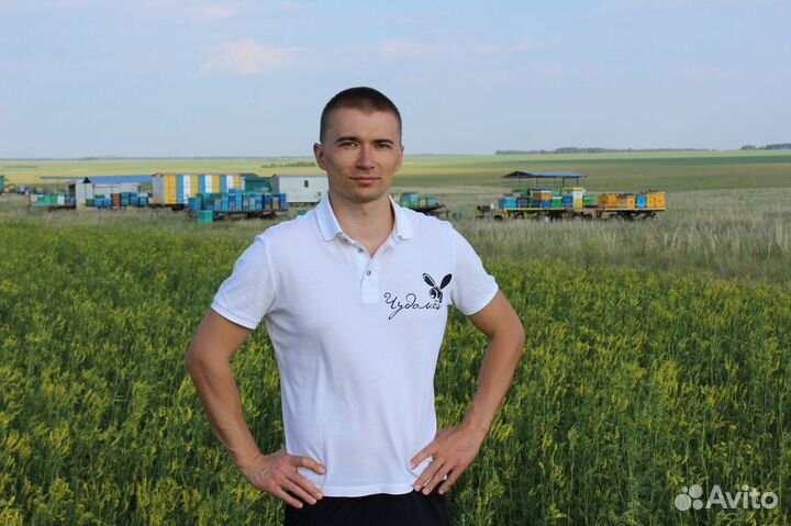 Мёд Донниковый - гост, своя пасека, смотрите отзыв