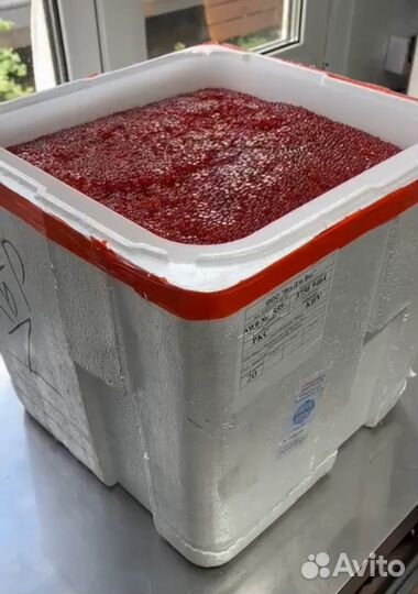 Красная икра 2023