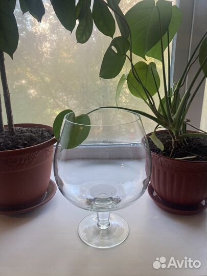 Аквариум-бокал 7л