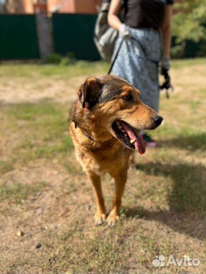 Кит, наш милый старичок