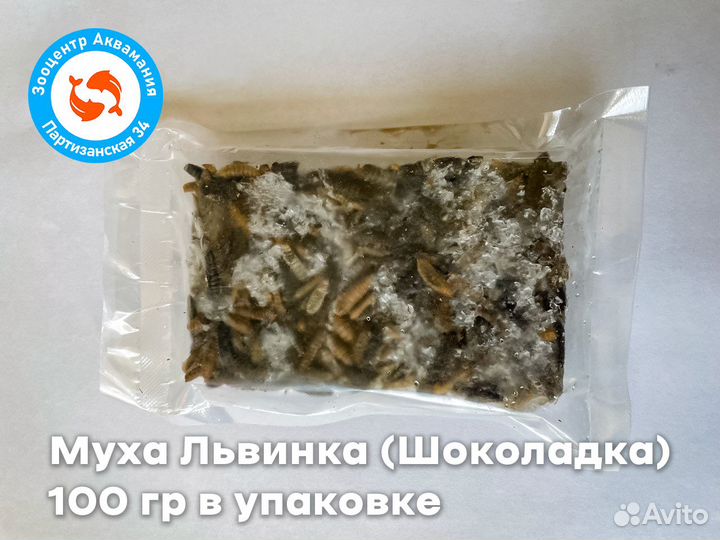 Замороженный корм для рыб и черепах